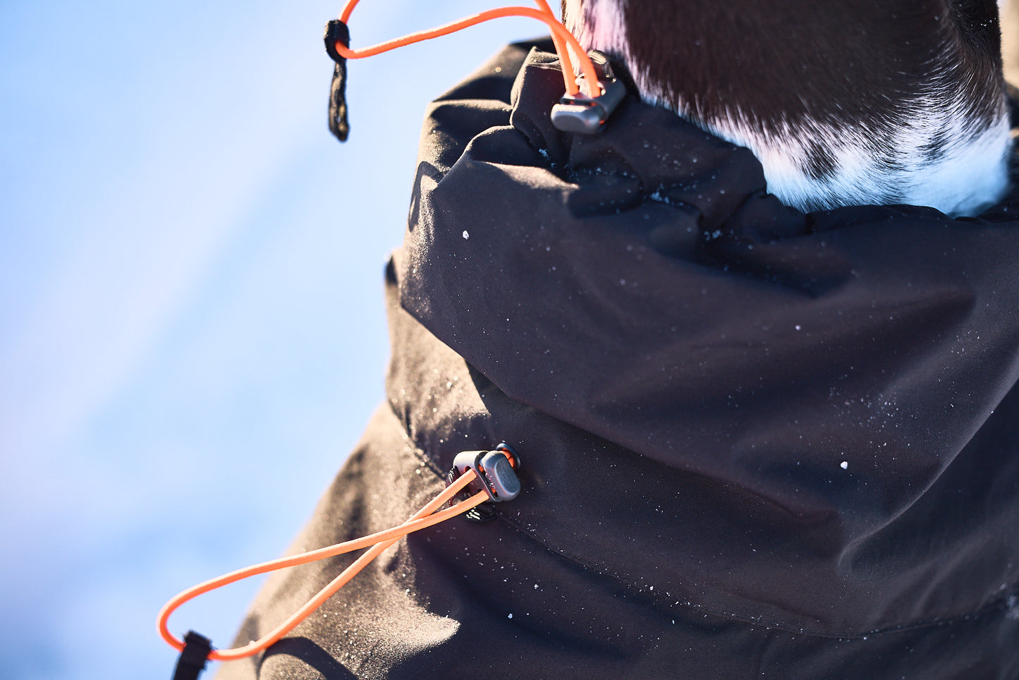 Non-stop Trekking insulated dog jacket - koiran takki