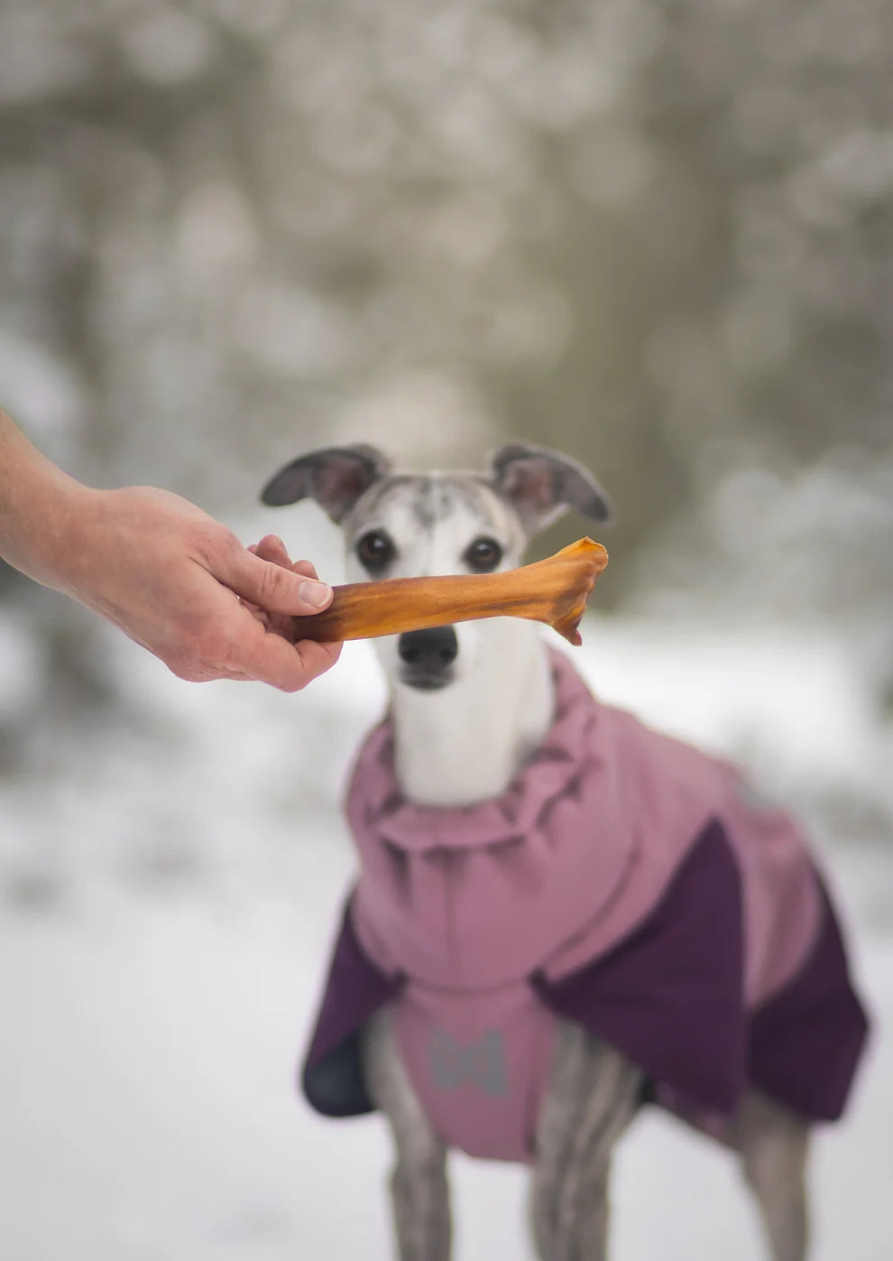 Pala Hevosennahka 100g