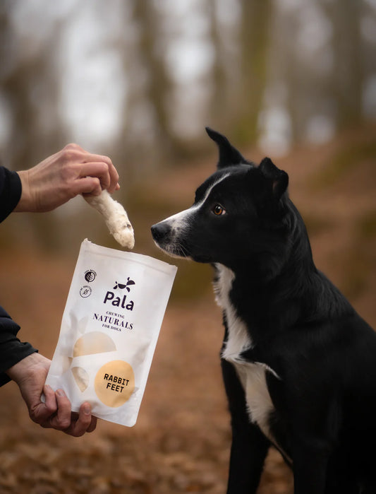 Pala Kanin käpälät 100g