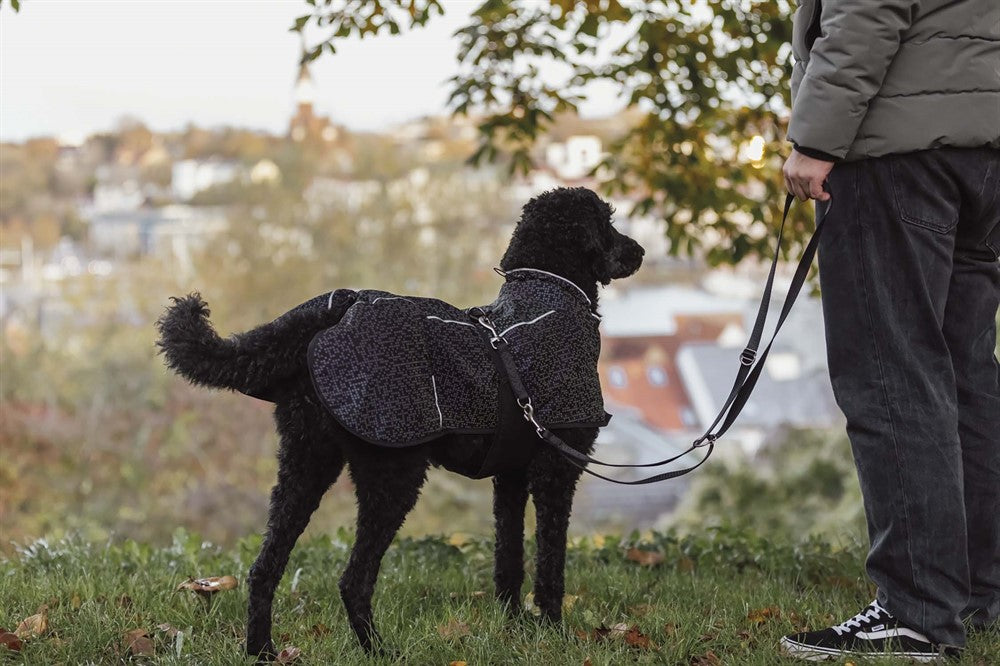 Trixie Limoux heijastava sadetakki koiralle