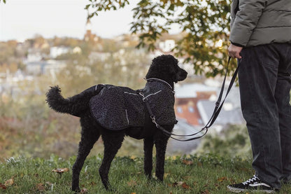 Trixie Limoux heijastava sadetakki koiralle