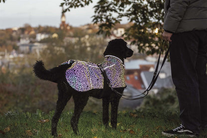 Trixie Limoux heijastava sadetakki koiralle