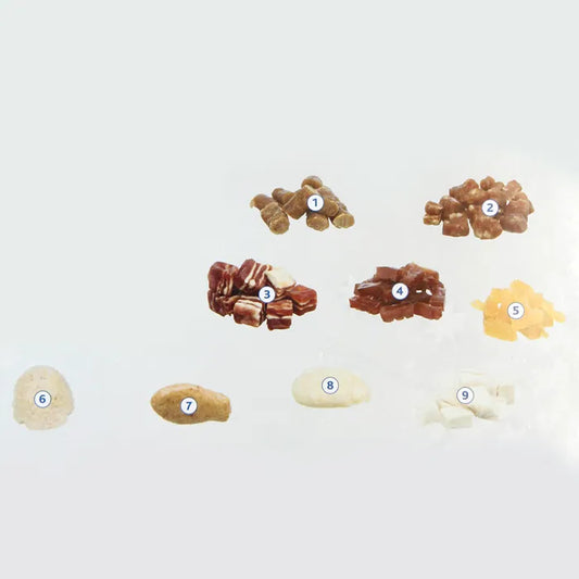 Trixie Premio joulukalenteri kissalle 120g