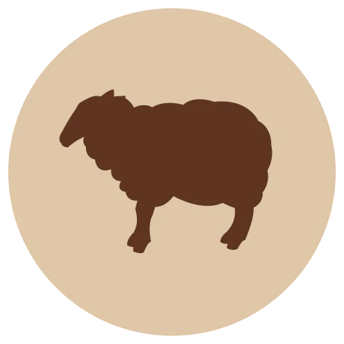 Fanimal jauhettu lammas luuton, 500g