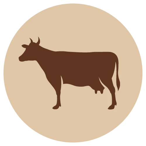 Fanimal jauhettu nauta luuton, 500g