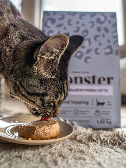 Monster Cat Salmon Panna Catta 2x80g