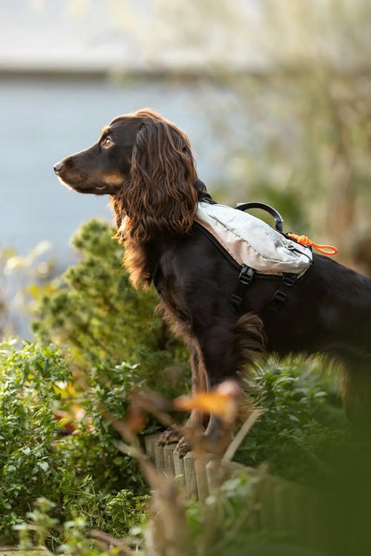 Non-stop Trail light dog backpack - koiran reppu