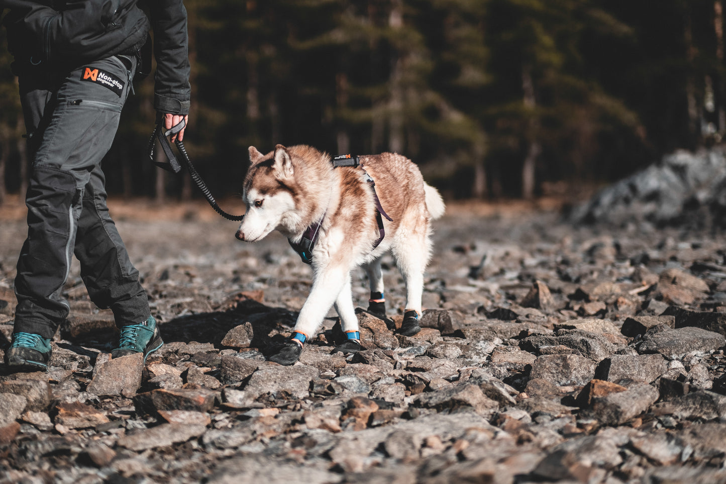 Non-stop Protector bootie - koiran tossut
